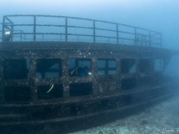 Relitto Airone - Coltri